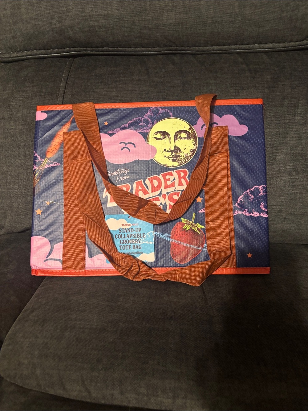 Trader Joe’s Stand Up Collapsible Grocery Tote Bag